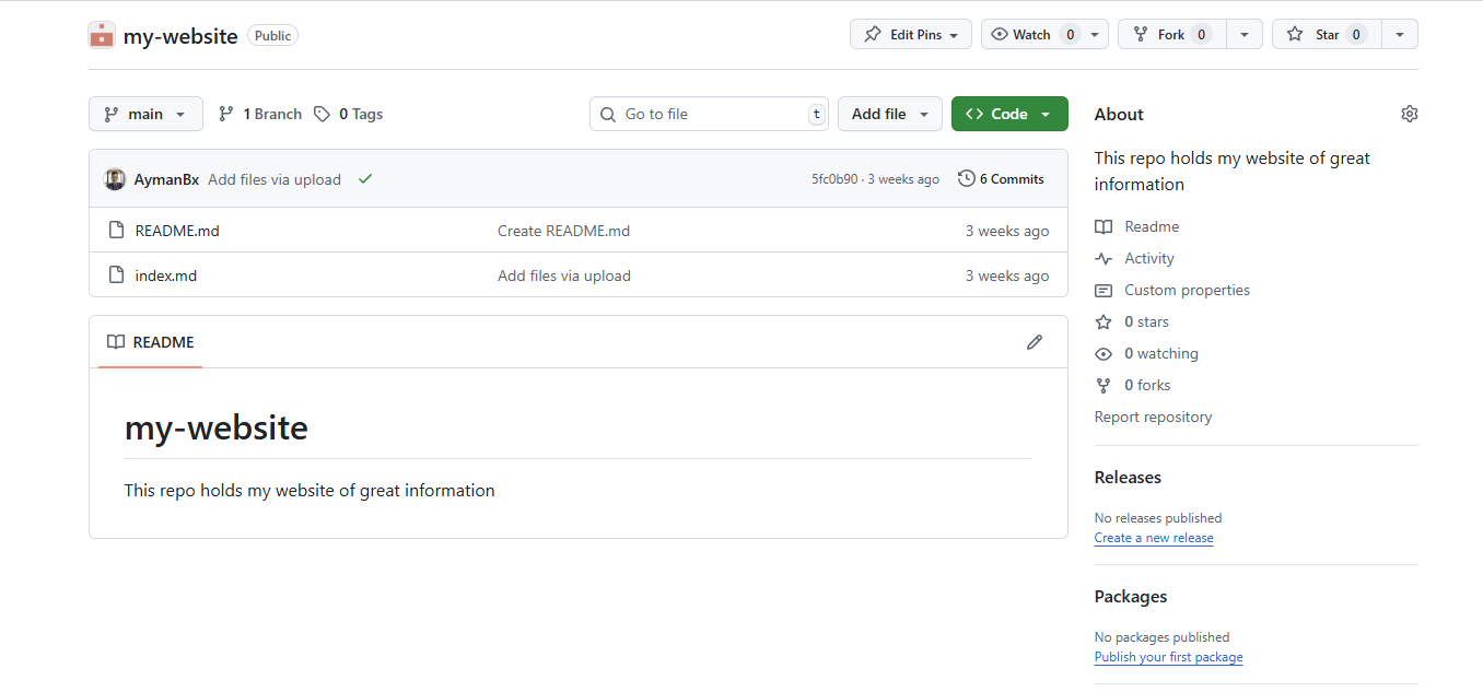 GitHub new repo view